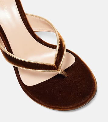 Sandalen Calypso 70 aus Samt | Gianvito Rossi