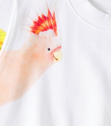 Marge printed cotton jersey sweatshirt | Molo