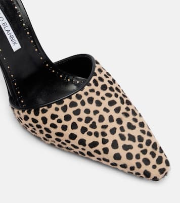 Bedruckte Pumps Gambis aus Kalbshaar | Manolo Blahnik
