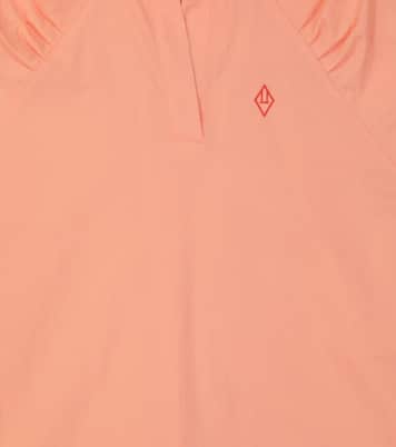 Robe Swallow | The Animals Observatory