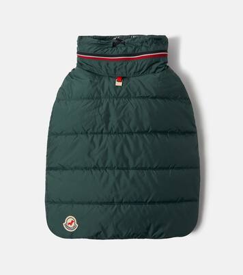 Abrigo para perro Moncler Poldo Dog Couture | Moncler