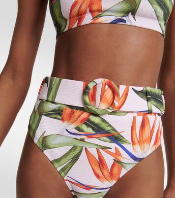 Culotte de bikini Ursula imprimée | Alexandra Miro