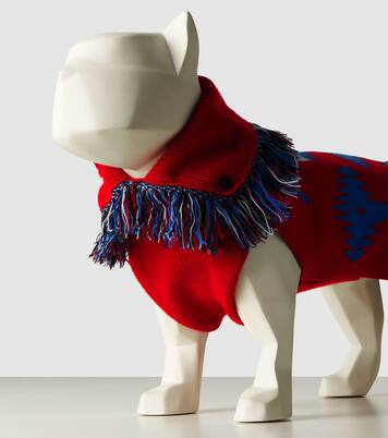 x Poldo Dog Couture Icon dog sweater | Alanui