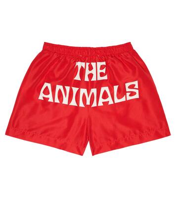 Puppy swimming shorts | The Animals Observatory