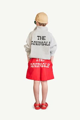 Puppy swimming shorts | The Animals Observatory