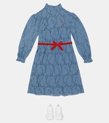 Robe Dolphin en dentelle | The Animals Observatory