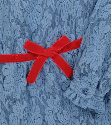 Robe Dolphin en dentelle | The Animals Observatory