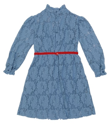 Robe Dolphin en dentelle | The Animals Observatory