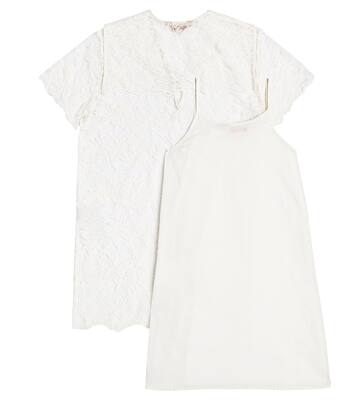 Ladybird cotton dress | The Animals Observatory