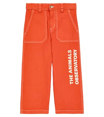 Jean Ant à logo | The Animals Observatory