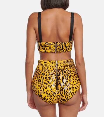 Bralette con stampa leopardata | Dolce&Gabbana