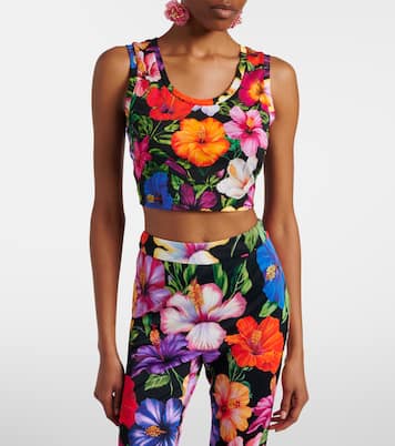 Floral cotton crop top | Dolce&Gabbana