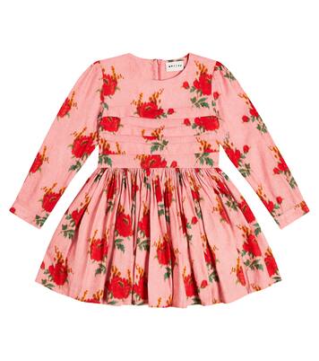 Tempo floral cotton-blend dress | Morley