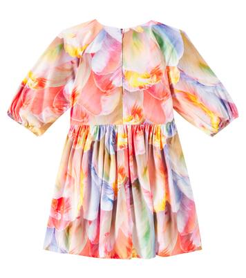 Ciera floral cotton dress | Molo