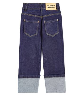 Ant 진 | The Animals Observatory