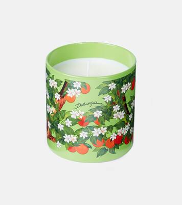 Arancio Di Sicilia scented candle | Dolce&Gabbana Casa