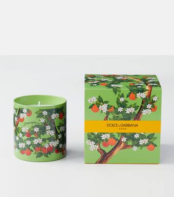 Arancio Di Sicilia scented candle | Dolce&Gabbana Casa