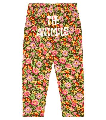 Jogginghose Camaleon aus Baumwolle | The Animals Observatory