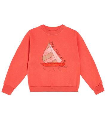 Bear cotton jersey sweatshirt | The Animals Observatory
