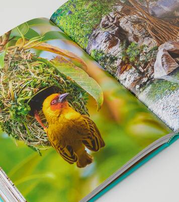 Red Sea: The Saudi Coast book | Assouline