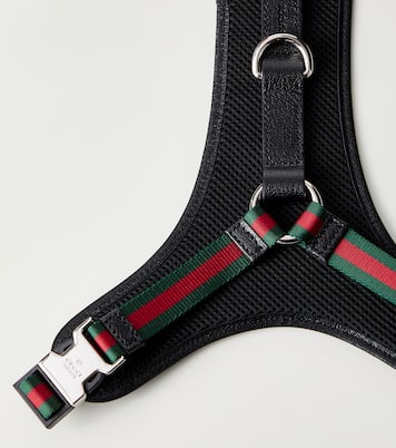 Immagine 2 di 2