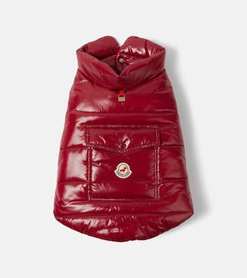 Moncler Poldo Dog Couture dog coat | Moncler