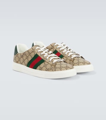 Immagine 1 di 7