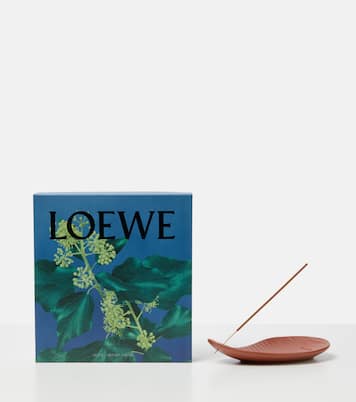 Set di incensi Ivy in ceramica | Loewe Home Scents