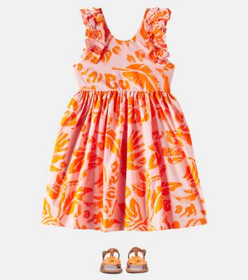 Cicely printed cotton dress | Molo
