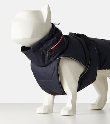Moncler Poldo Dog Couture dog coat | Moncler