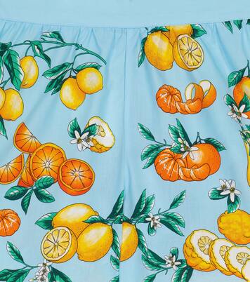 Printed cotton poplin shorts | Dolce&Gabbana Kids