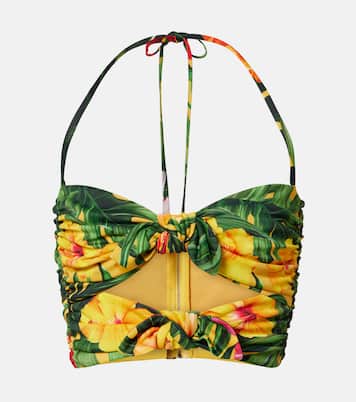 Cutout floral halterneck crop top | Dolce&Gabbana