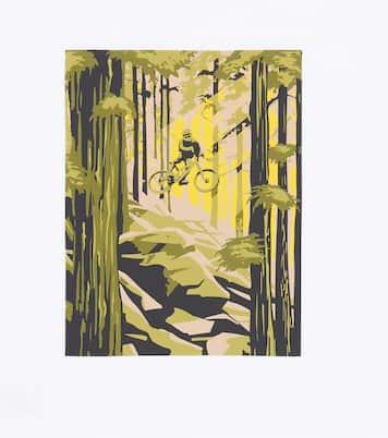 T-shirt imprimé en coton | Il Gufo