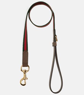 Laisse pour chien Web Stripe S/M | Gucci