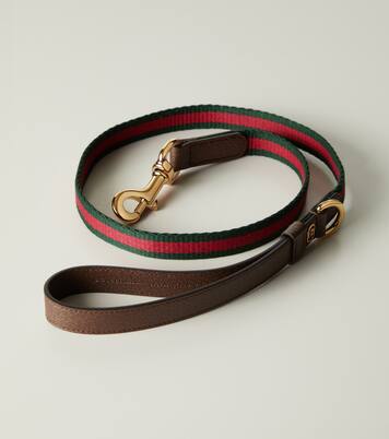 Web Stripe S/M dog leash | Gucci