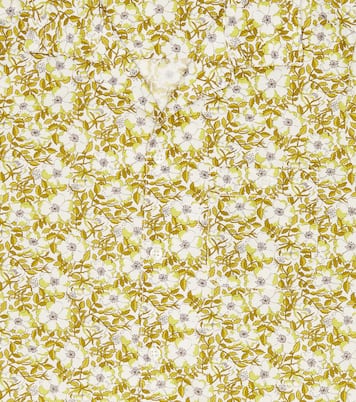 Hemd Steve aus Baumwolle | Bonpoint