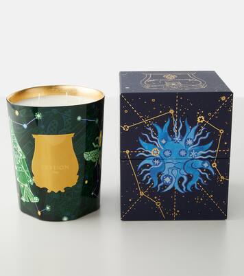 Fir Grande scented candle | Trudon