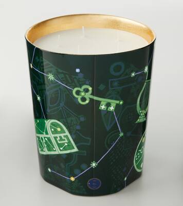 Fir Grande scented candle | Trudon