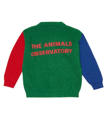 Baby - Cardigan Toucan colorblock | The Animals Observatory