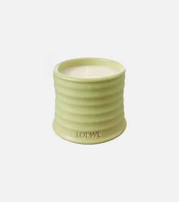 Cucumber Small scented candle | Loewe Home Scents