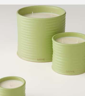 Cucumber Small scented candle | Loewe Home Scents
