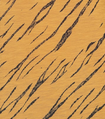 Longsleeve aus Baumwolle | Proenza Schouler