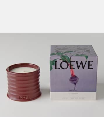 Bougie parfumée Beetroot Small | Loewe Home Scents