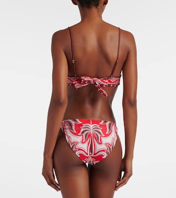 Culotte de bikini Ainika Garden | Farm Rio
