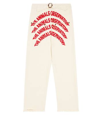 Jeans Ant | The Animals Observatory