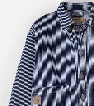 Giacca Cole in canvas di cotone a righe | Wheat