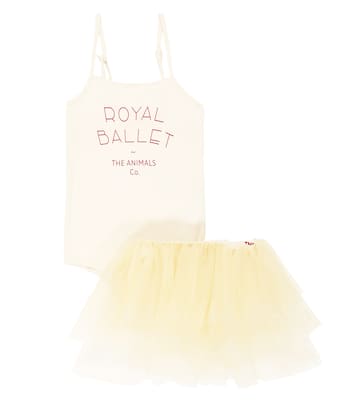 Body e gonna Piranha | The Animals Observatory