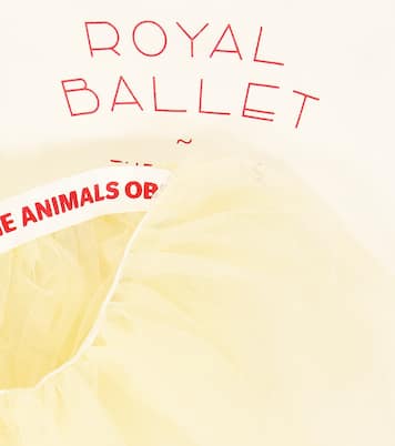 Body e gonna Piranha | The Animals Observatory