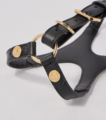 Leather dog harness | Versace Home