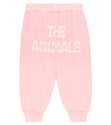 Baby Dromedary printed pants | The Animals Observatory